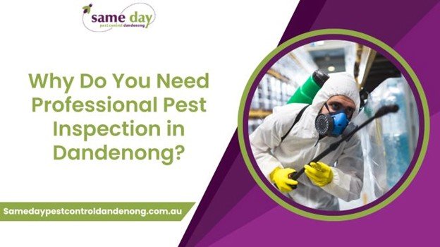 Need Professional Pest Inspection